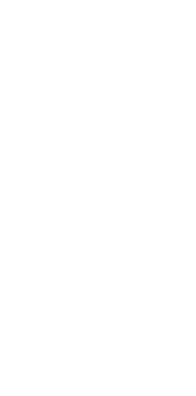 Visual Triangle
