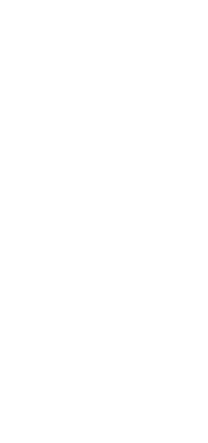 Visual Triangle