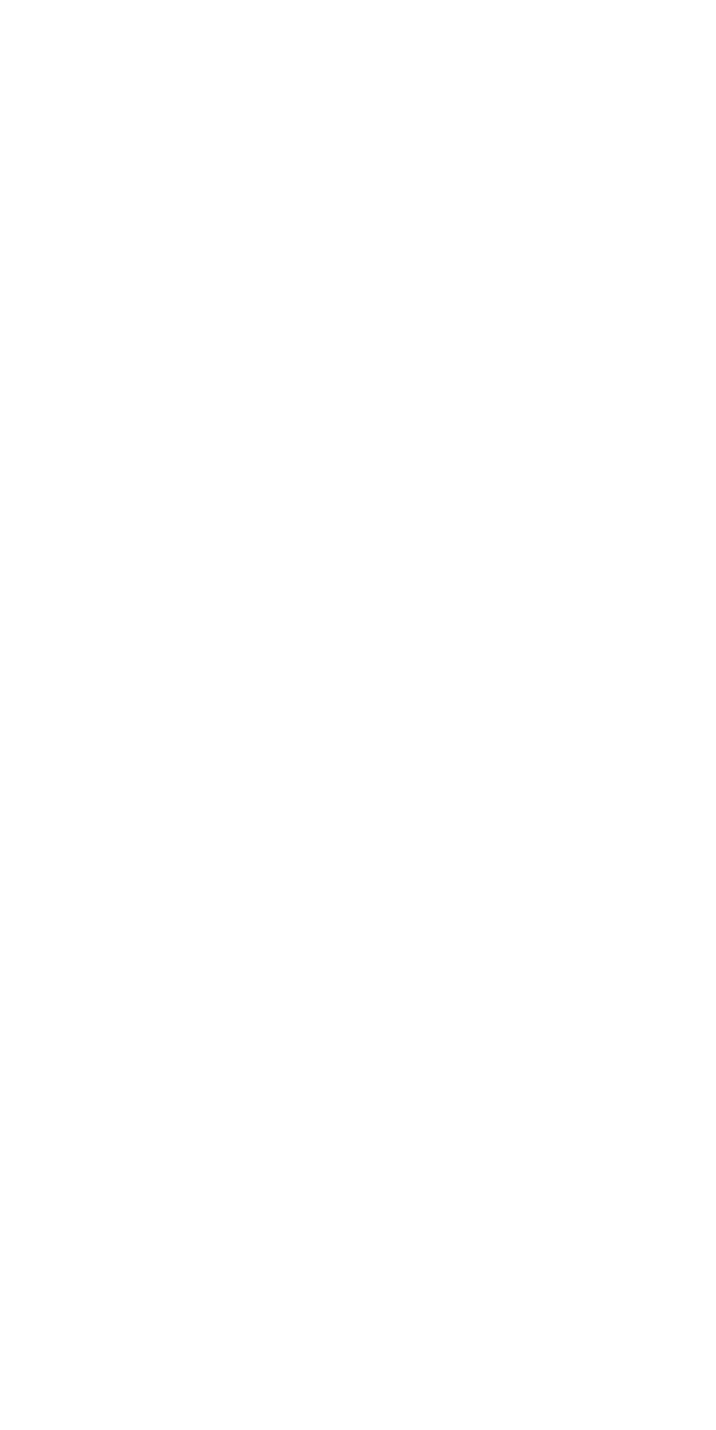 Visual Triangle