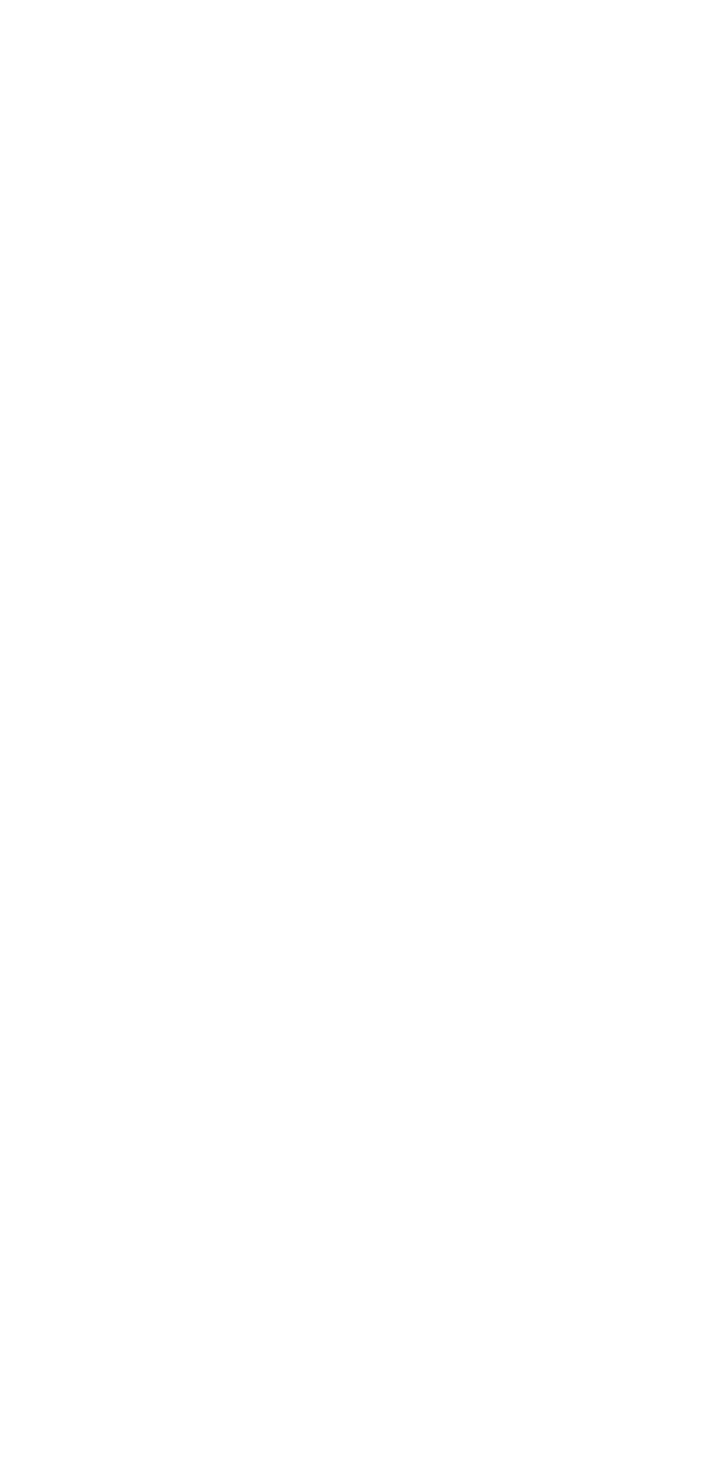 Visual Triangle